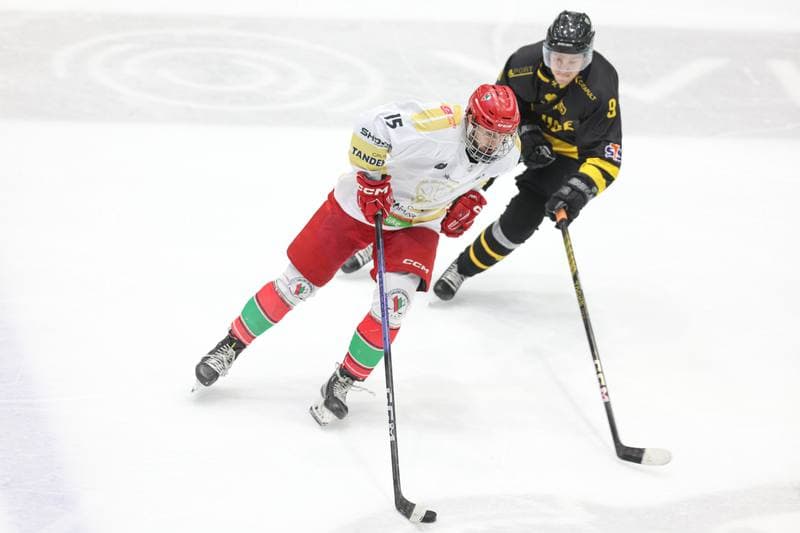 Ice Hockey. Tauron Hokej Liga. Zaglebie Sosnowiec - GKS Katowice. 06.03.2024