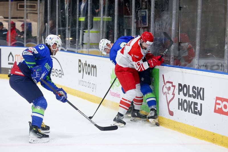 Ice Hockey. Friendly Match. Poland - Slovenia. 19.04.2024