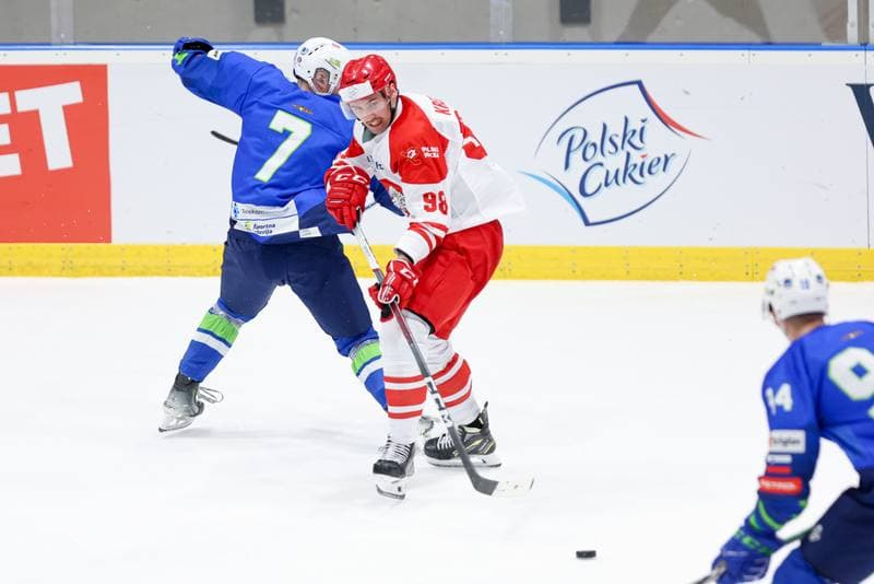 Ice Hockey. Friendly Match. Poland - Slovenia. 19.04.2024