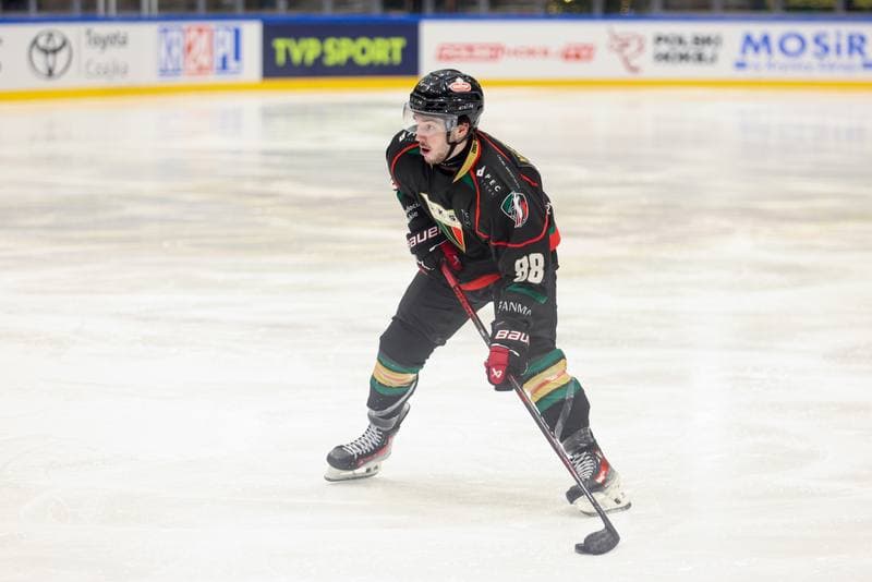 Ice Hockey. Polish Cup. GKS Tychy - GKS Katowice. 28.12.2024
