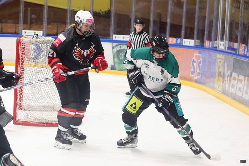 Ice Hockey. EWHL. Tauron Metropolia Silesia - KEHV Lakers. 04.02.2024