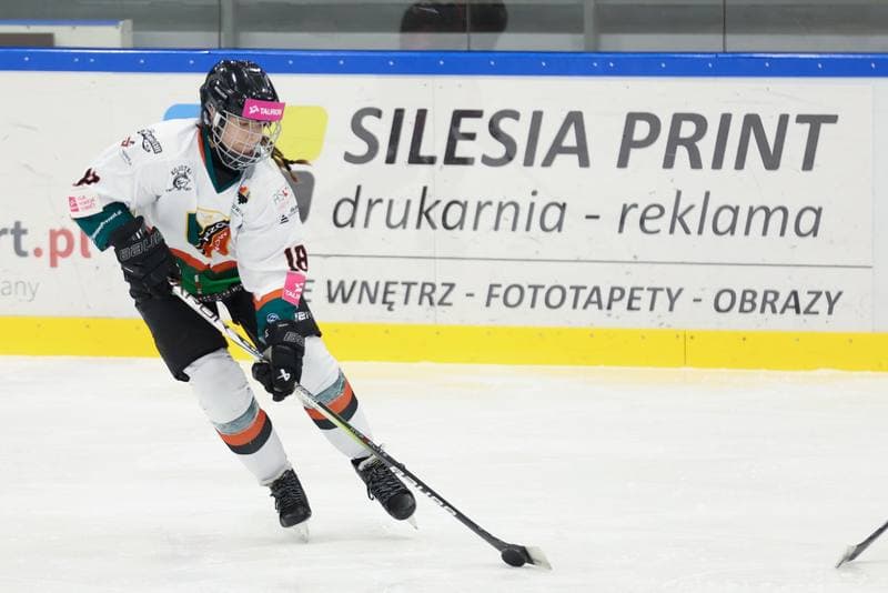 Ice Hockey. Tauron Liga Hokeja Kobiet. Kojotki Naprzod Janow - Kozice Poznan. 20.01.2024