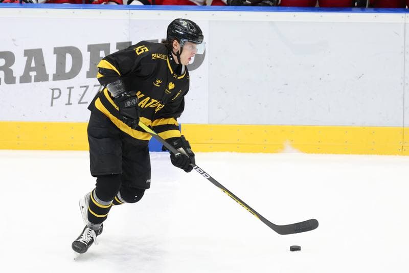 Ice Hockey. Tauron Hokej Liga. Zaglebie Sosnowiec - GKS Katowice. 21.01.2024