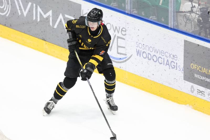 Ice Hockey. Tauron Hokej Liga. Zaglebie Sosnowiec - GKS Katowice. 21.01.2024