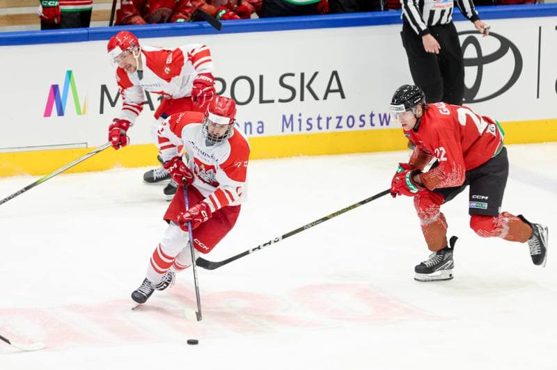 Ice Hockey. Friendly Match. Poland - Hungary. 12.04.2024