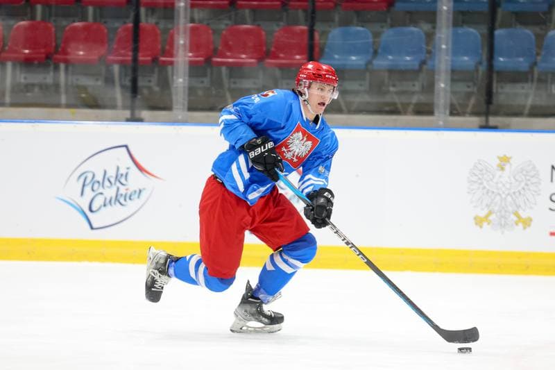 Ice Hockey. Poland national team. Training. 16.04.2024