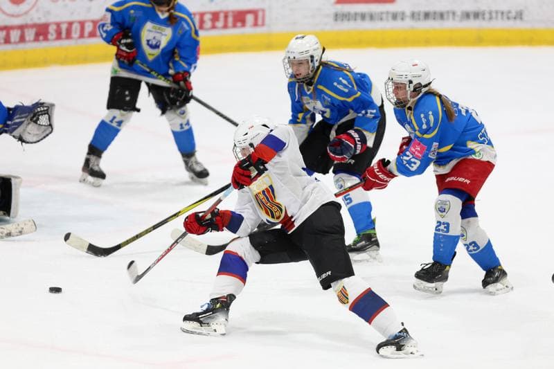 Ice Hockey. Tauron Liga Kobiet. Polonia Bytom - UKKH Unia Oswiecim. 24.02.2024