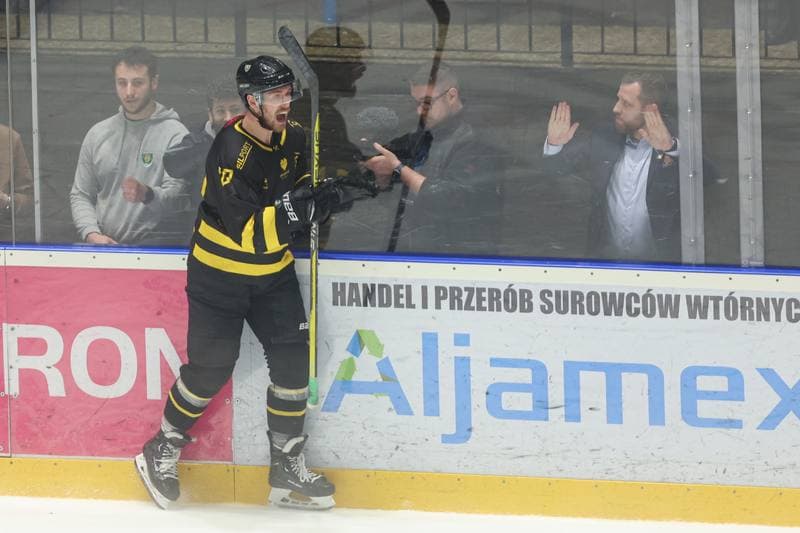 Ice Hockey. Tauron Hokej Liga. Re-Plast Unia Oswiecim - GKS Katowice. 07.04.2024