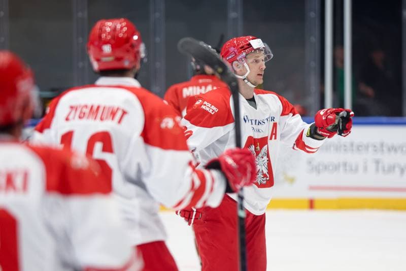 Ice Hockey. Friendly Match. Poland - Hungary. 12.04.2024