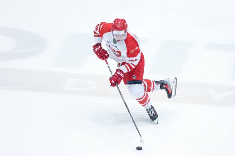 Ice Hockey. Friendly Match. Poland - Denmark. 07.05.2024