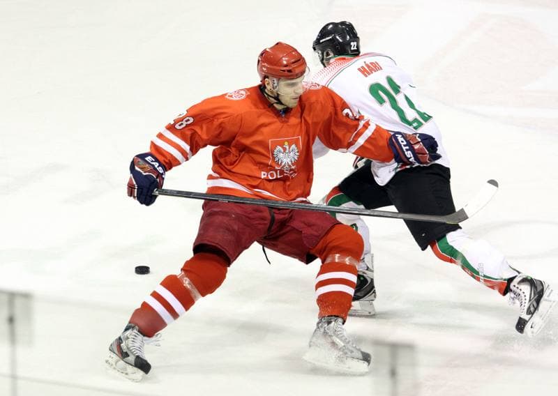 Ice Hockey. Euro Ice Hockey Challenge. Poland - Romania. 09.02.2013