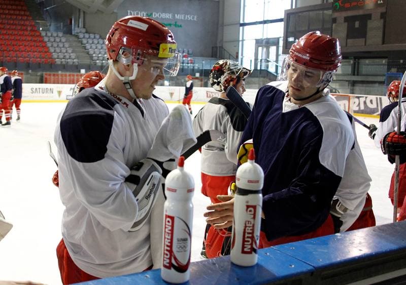 Ice Hockey. Poland national team. Training. 14.04.2015