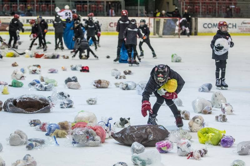 Ice Hockey. PHL. Comarch Cracovia - Ciarko STS Sanok. 16.01.2022