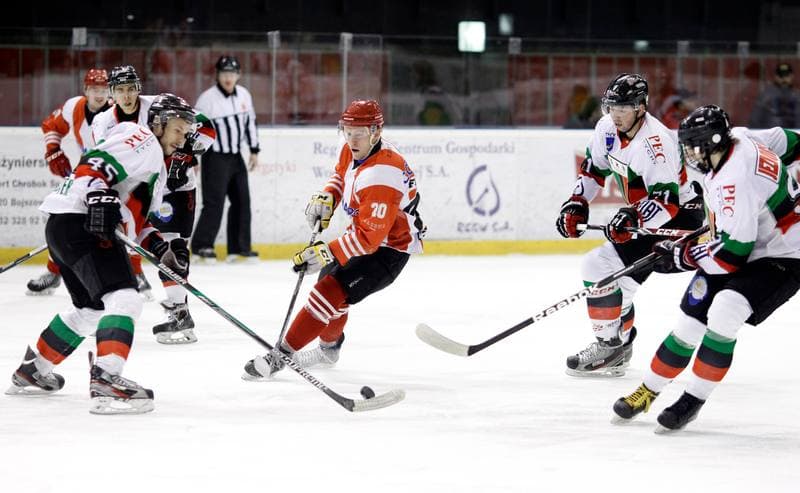Ice Hockey. Polska Hokej Liga. GKS Tychy - Comarch Cracovia Krakow. 30.01.2015