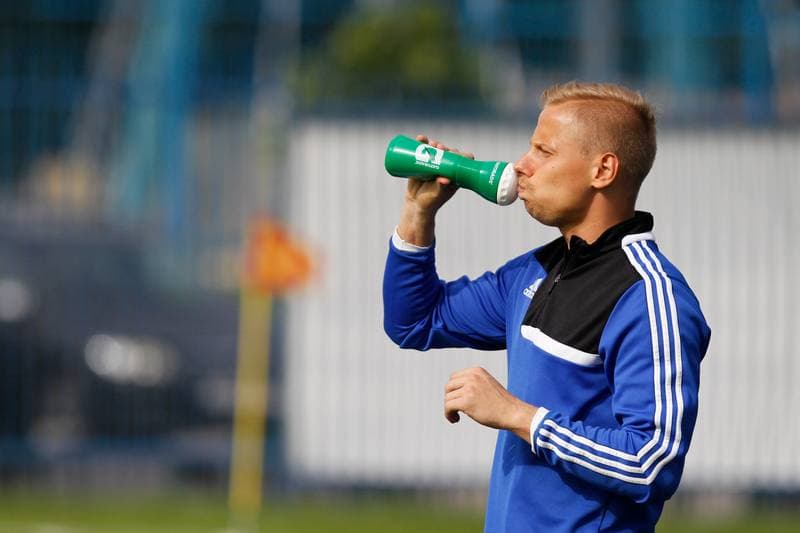 Football. Sparing. Ruch Chorzow - Karpaty Lwow. 09.07.2016