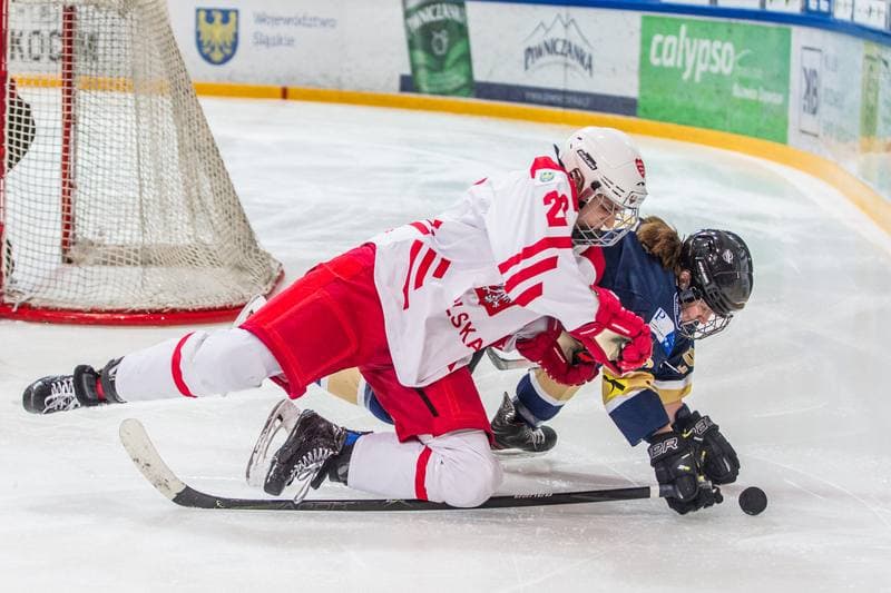 Ice Hockey. EWHL. Polska - KSV Neuberg Highlanders. 30.01.2022