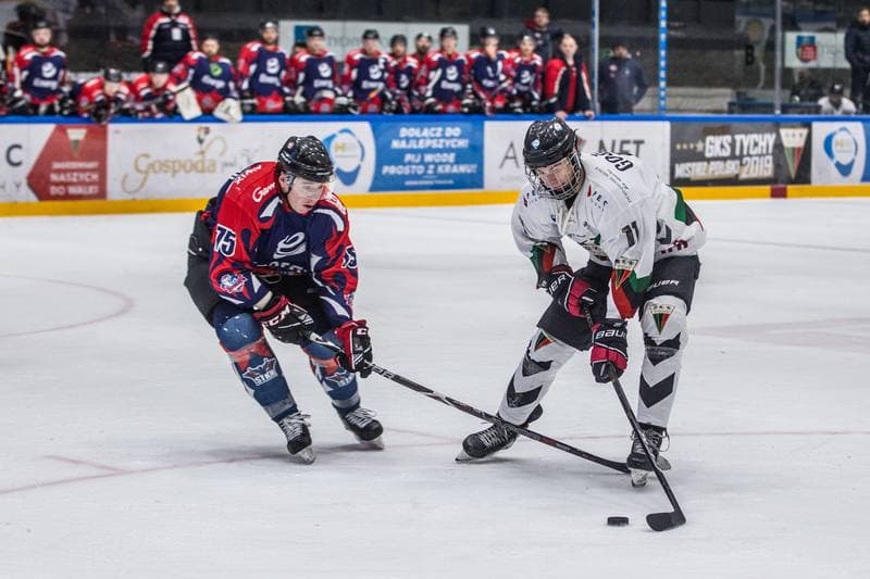 Ice Hockey. Polska Hokej Liga. GKS Tychy - Energa Torun. 21.02.2020