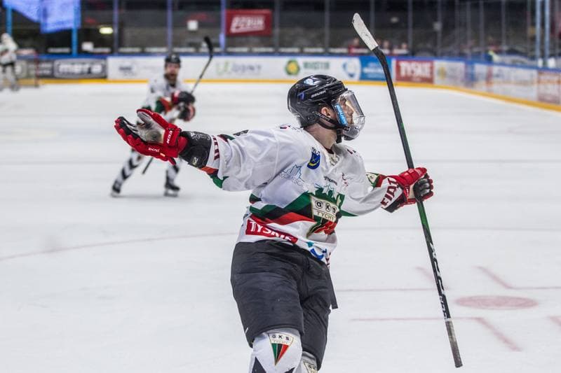Ice Hockey. Polska Hokej Liga. GKS Tychy - Energa Torun. 21.02.2020