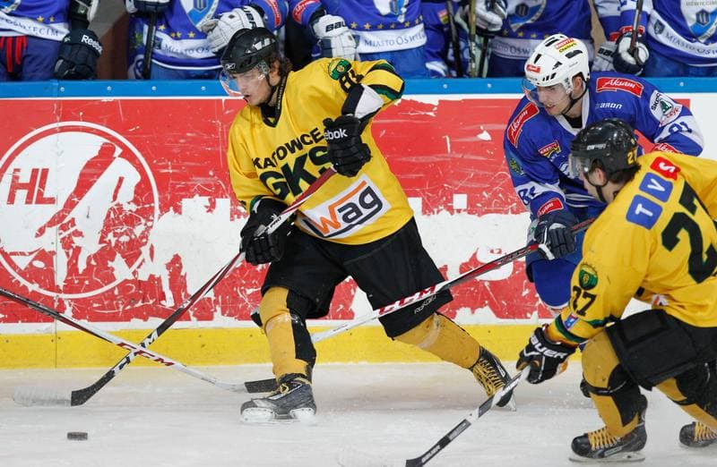 Ice Hockey. Polska Hokej Liga. HC GKS Katowice - Aksam Unia Oswiecim. 10.01.2014
