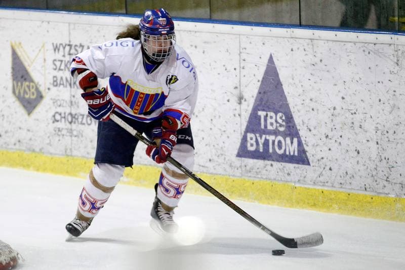 Ice Hockey. PLHK. Polonia Bytom - Atomowki Tychy. 27.01.2017