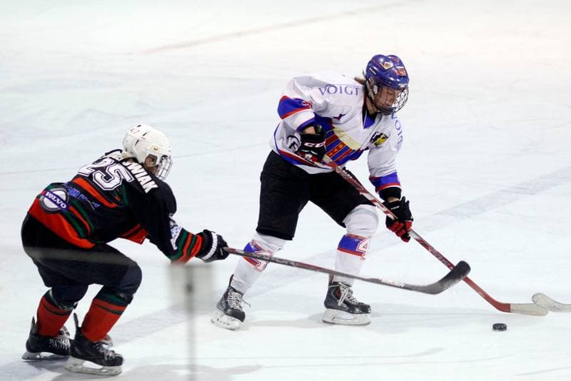 Ice Hockey. PLHK. Polonia Bytom - Atomowki Tychy. 27.01.2017