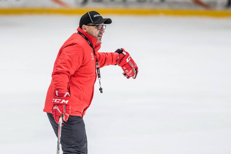 Ice Hockey. Poland national team. Training. 02.11.2020