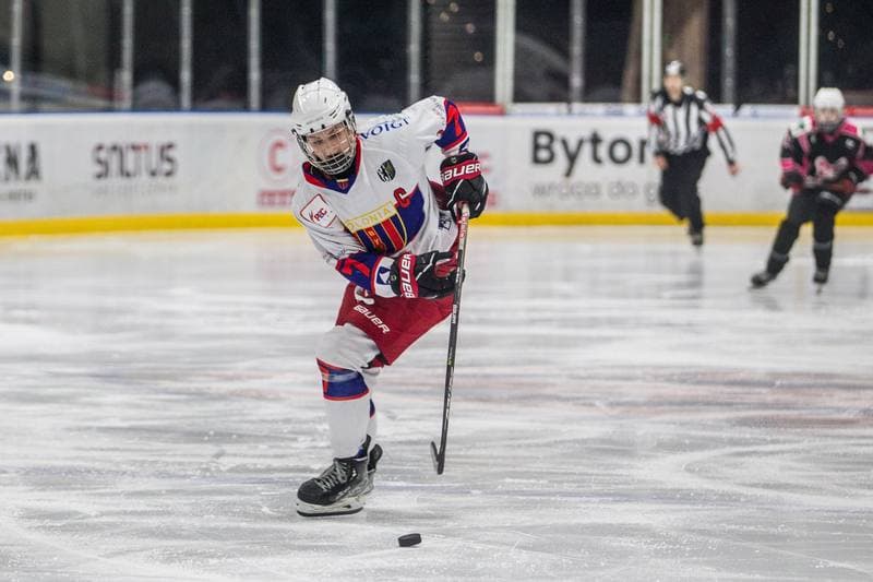 Ice Hockey. PLHK. Polonia Bytom - Kozice Poznan. 05.03.2022