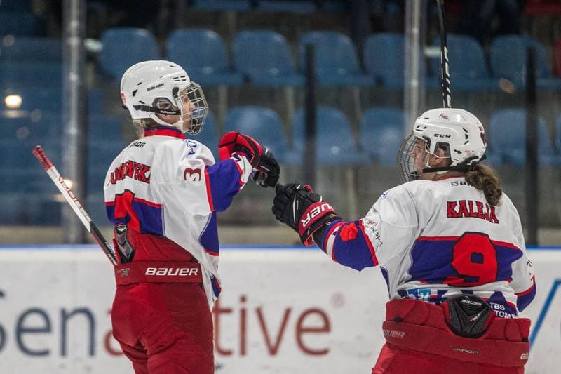 Ice Hockey. PLHK. Polonia Bytom - Kozice Poznan. 05.03.2022