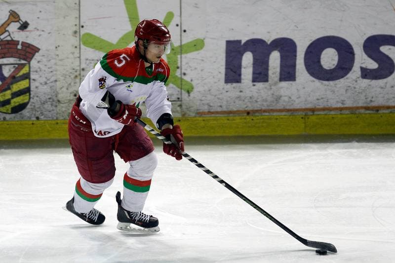 Ice Hockey. I Liga. Zaglebie Sosnowiec - Academy 1928 KTH Krynica. 10.02.2018