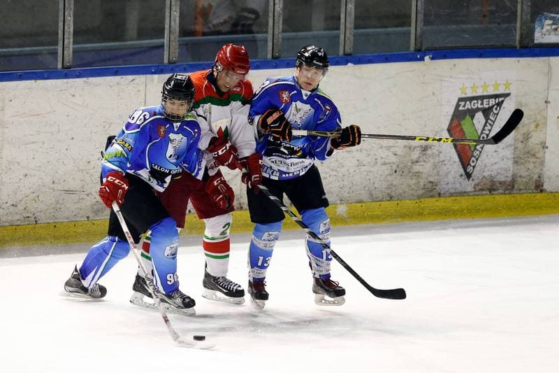 Ice Hockey. I Liga. Zaglebie Sosnowiec - UKH Debica. 18.02.2017