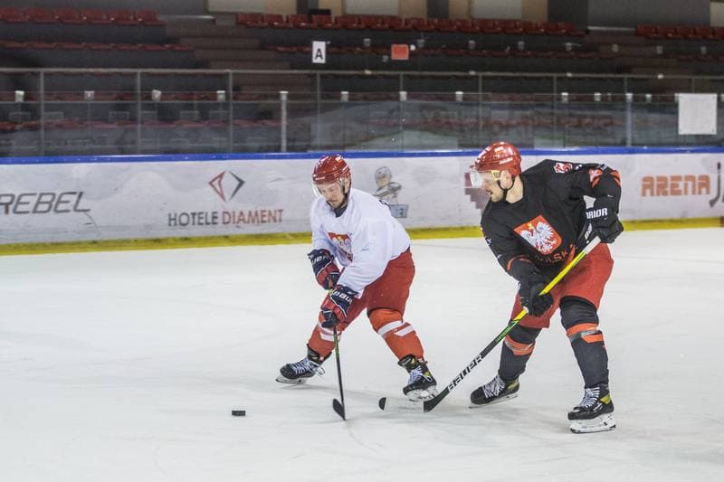 Ice Hockey. Poland national team. Training. 13.04.2021