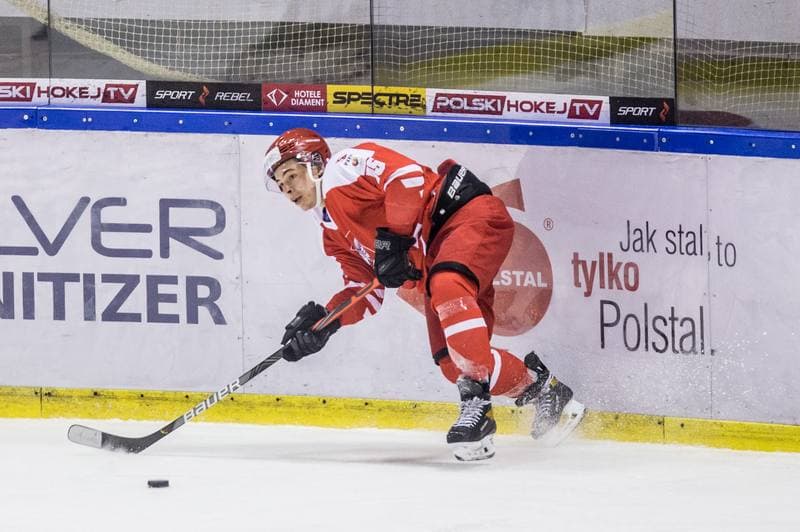 Ice Hockey. Three Seas Tournament. Poland - Lithuania. 19.04.2021