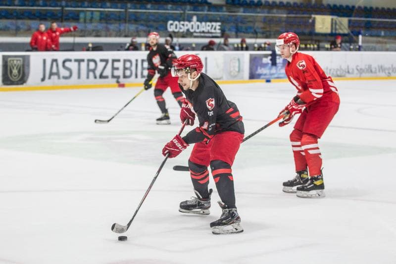 Ice Hockey. Poland national team. Training. 11.05.2021