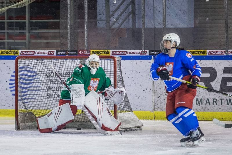 Ice Hockey. Poland national team. Training. 31.03.2022