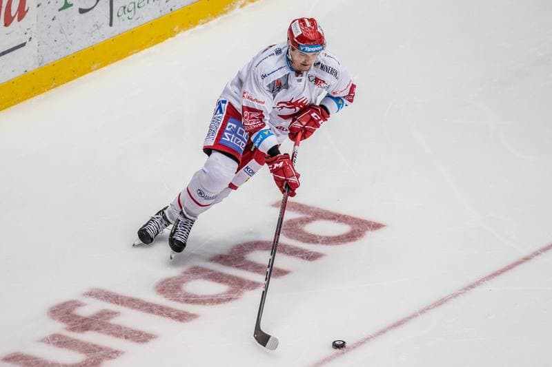 Ice Hockey. Tipsport Extraliga. Ocelari Trinec - Vitkovice Ridera. 21.11.2019