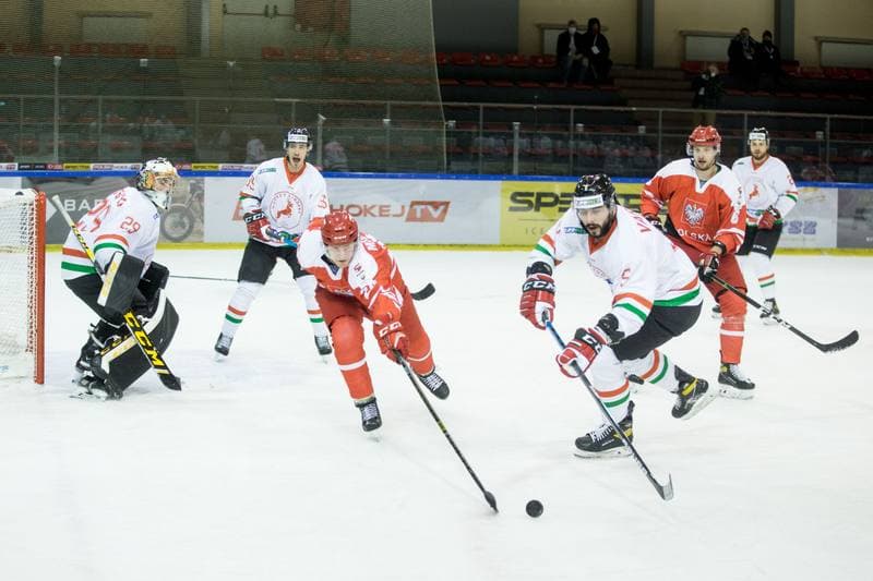 Ice Hockey. International Friendly. Poland - Hungary. 18.12.2020