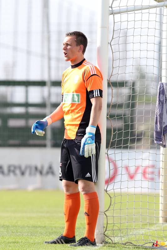 Football. Sparing. MFK Karvina - Gornik Zabrze. 25.06.2016