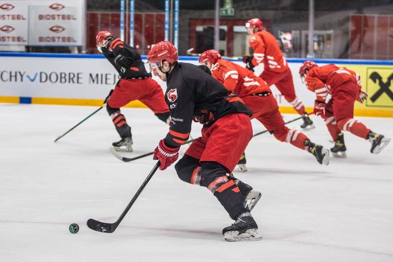 Ice Hockey. Poland national team. Training. 24.04.2022