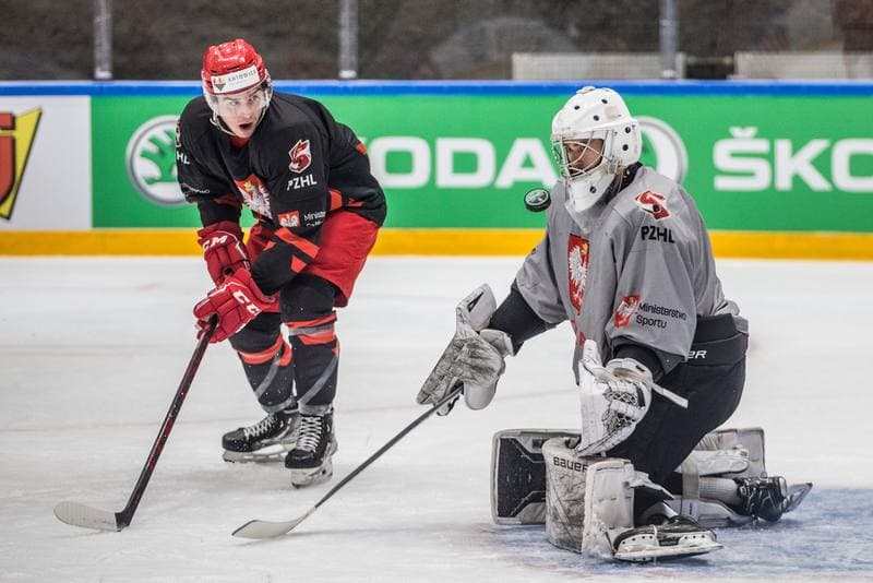 Ice Hockey. Poland national team. Training. 24.04.2022