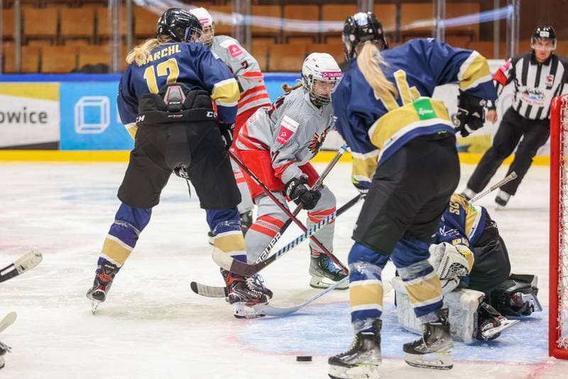Ice Hockey. EWHL. TAURON Metropolia Silesia - KSV Neuberg Highlanders. 30.09.2023