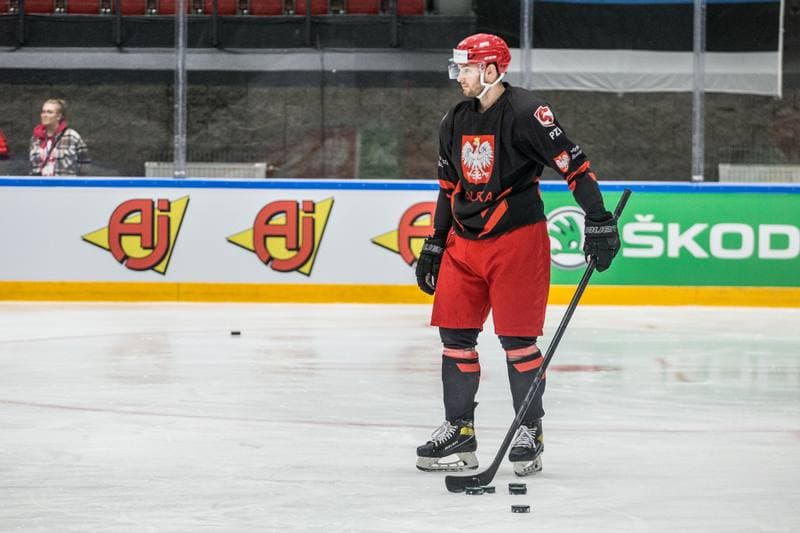 Ice Hockey. Poland national team. Training. 29.04.2022