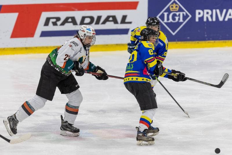Ice Hockey. PLHK. Kojotki Naprzod Janow - MMKS Podhale Nowy Targ. 12.11.2022