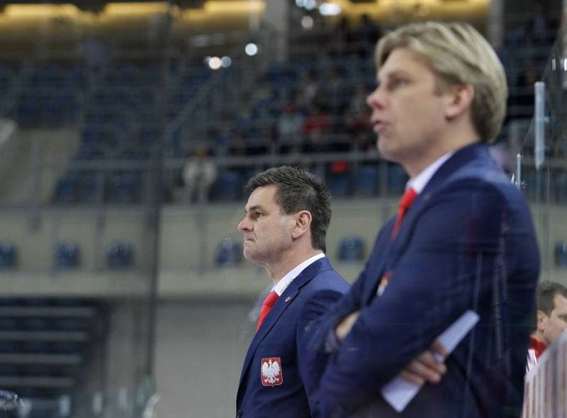 Ice Hockey. IIHF World Championship Division 1A. Poland - Japan. 20.04.2015