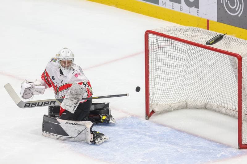 Ice Hockey. Tauron Hokej Liga. Zaglebie Sosnowiec - Comarch Cracovia. 19.11.2023
