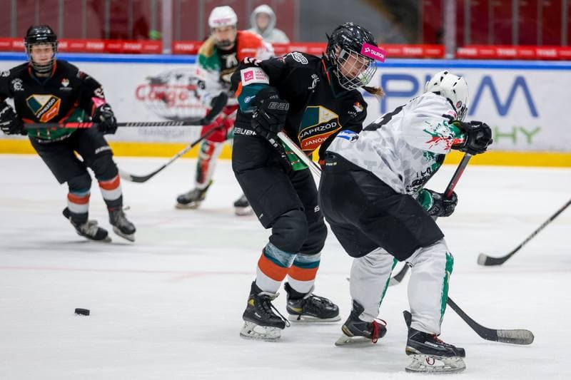 Ice Hockey. Tauron Liga. Atomowki GKS Tychy - Kojotki Naprzod Janow. 29.10.2023