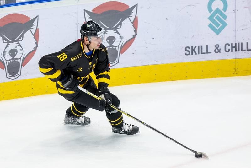 Ice Hockey. Tauron Hokej Liga. Zaglebie Sosnowiec - GKS Katowice. 03.11.2023
