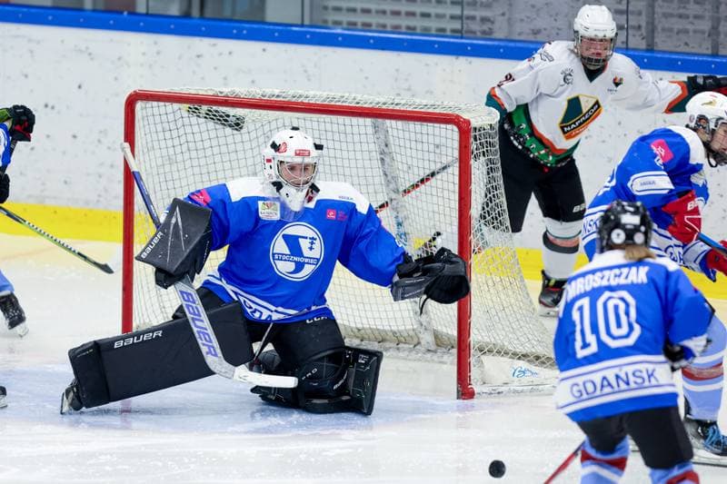 Ice Hockey. Tauron Liga. Kojotki Naprzod Janow - Stoczniowiec Gdansk. 24.02.2024