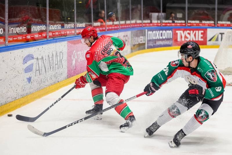 Ice Hockey. Tauron Hokej Liga. GKS Tychy - Zaglebie Sosnowiec. 15.11.2023