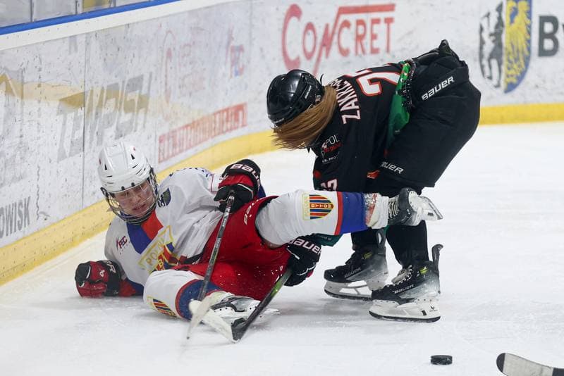 Ice Hockey. Tauron Liga Kobiet. BS Polonia Bytom - Kojotki Naprzod Janow. 16.03.2024