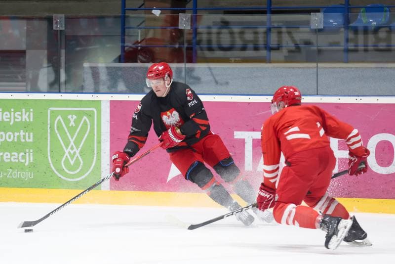 Ice Hockey. Poland national team. Training. 02.04.2024